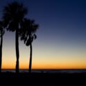 Visit Clearwater Beach!