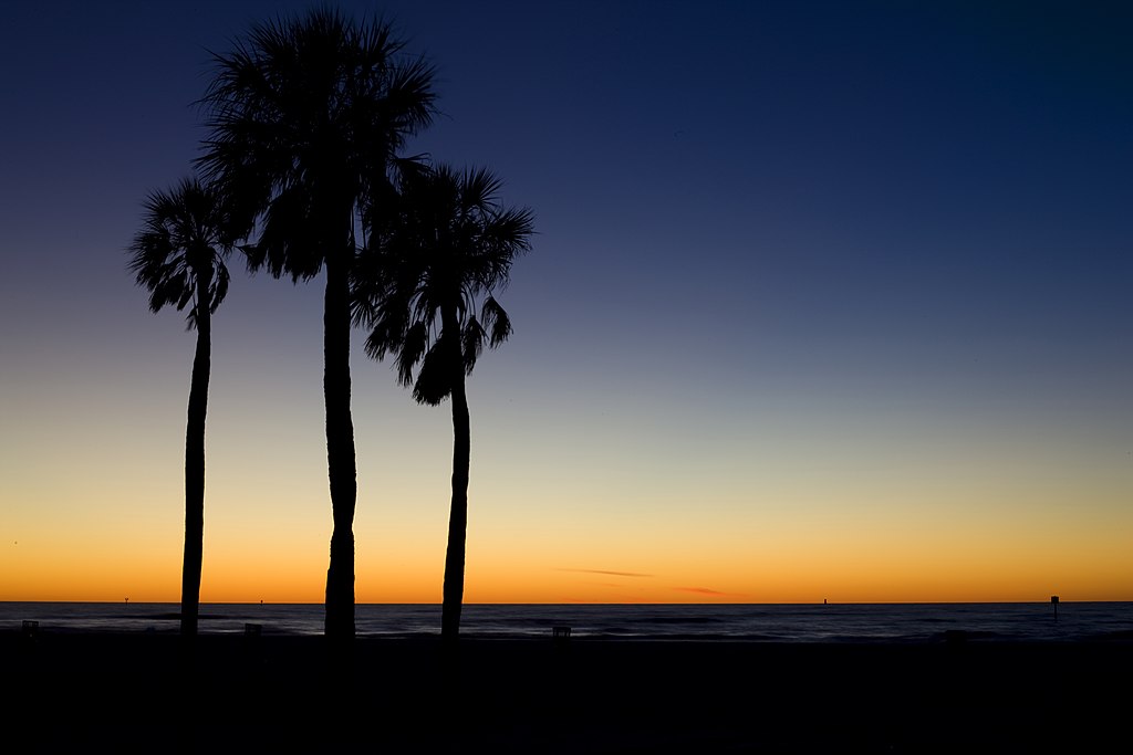 Visit Clearwater Beach!