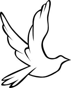Peace Dove Comes Round