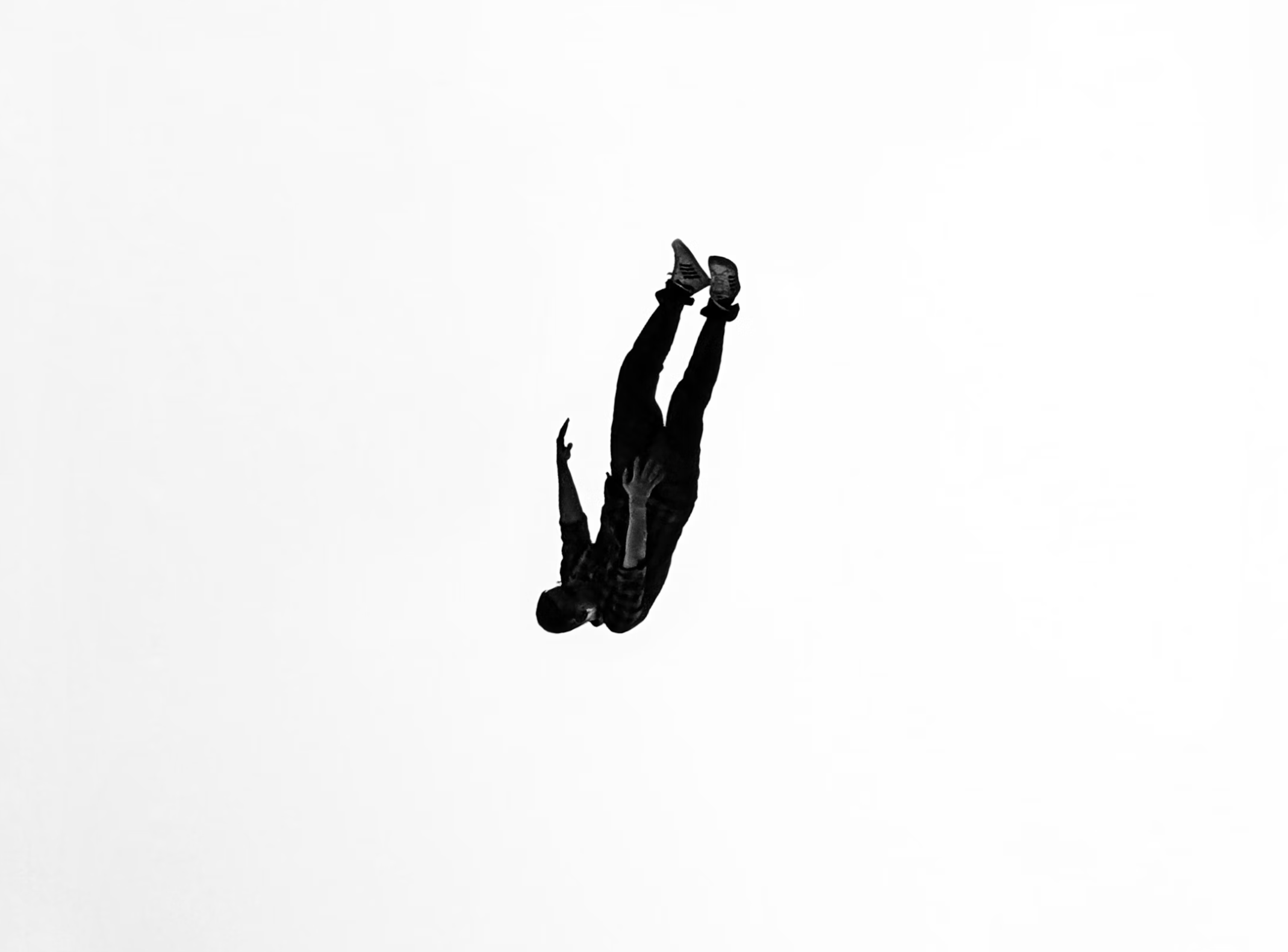 The Guest