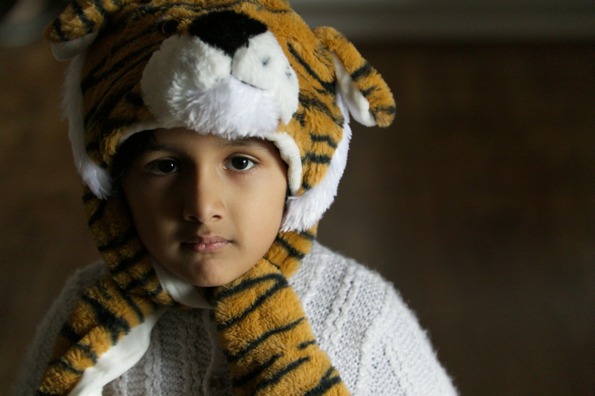 To the Poo-Poo Man Who Made My Tiger Costume