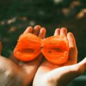 Reading Persimmon Seeds in Appalachia