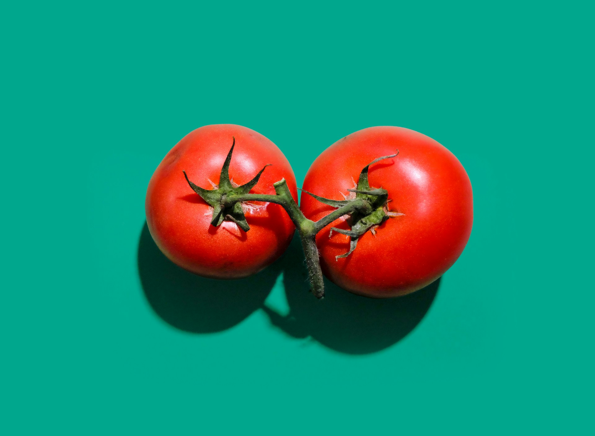 A Couple Tomatoes