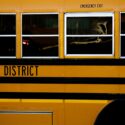 Still on the Bus