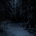 The Dark Woods