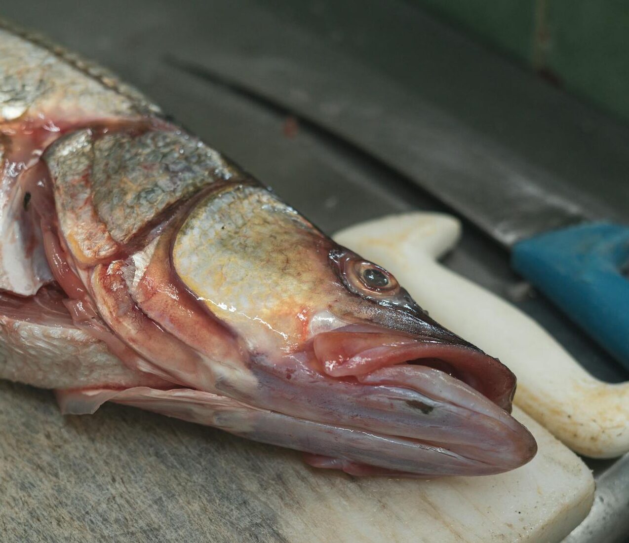 The Newly Divorced Guy’s Homestyle Fish Stew