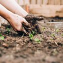 Gardening for the Bereaved