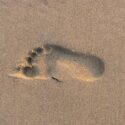 Beach Rat